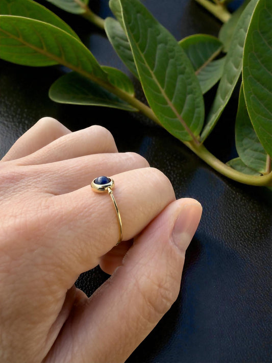 Lapis Lazuli Gemstone Fidget Ring