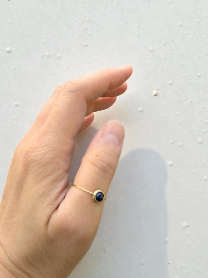 Lapis Lazuli Gemstone Fidget Ring