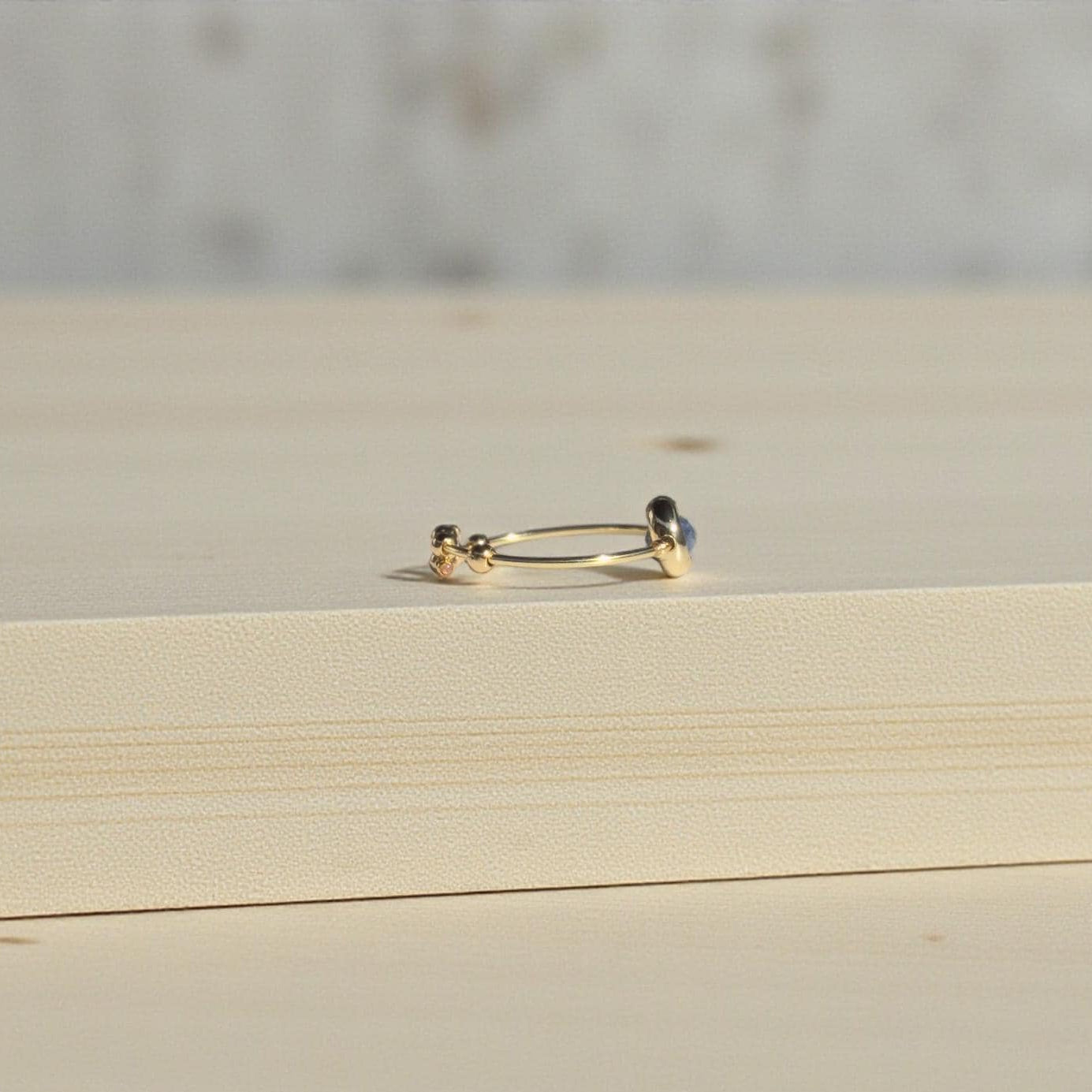 Blue Sapphire Gemstone Fidget Ring 05
