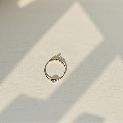 Blue Sapphire Gemstone Fidget Ring 06