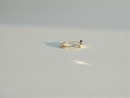 Gray Onyx Gemstone Fidget Ring